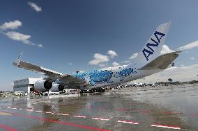 ANA Airbus A380 "Flying Honu